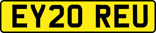 EY20REU