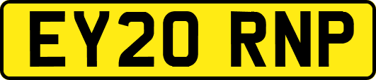 EY20RNP