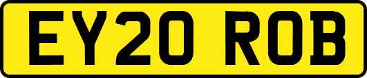 EY20ROB