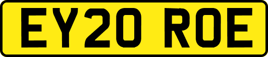 EY20ROE