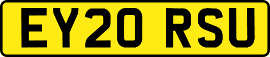 EY20RSU