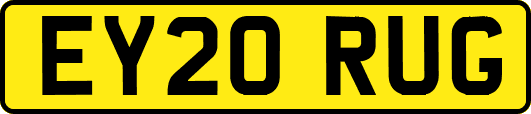 EY20RUG