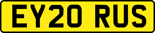 EY20RUS