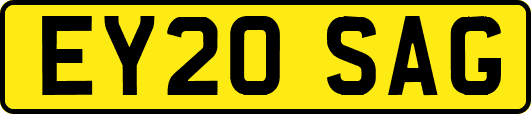 EY20SAG