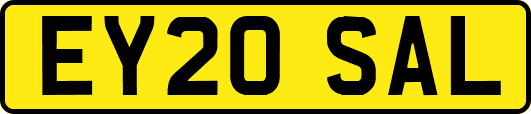 EY20SAL