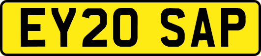 EY20SAP