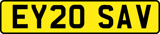 EY20SAV
