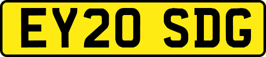 EY20SDG