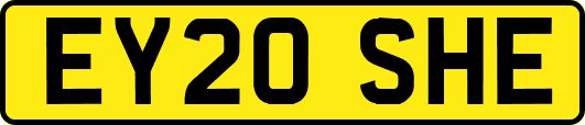 EY20SHE