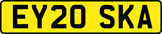 EY20SKA