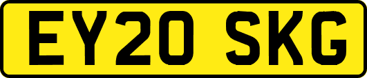 EY20SKG