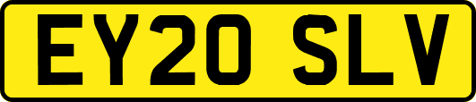 EY20SLV