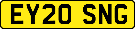 EY20SNG