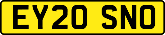 EY20SNO