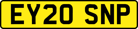 EY20SNP