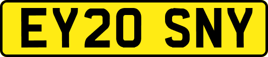 EY20SNY