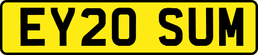 EY20SUM
