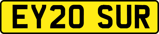 EY20SUR