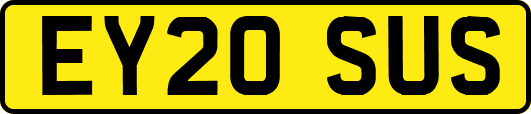 EY20SUS