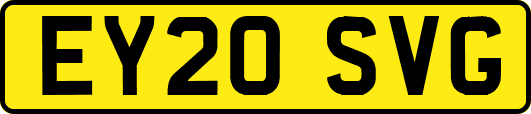 EY20SVG