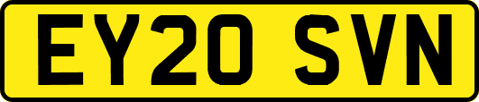 EY20SVN
