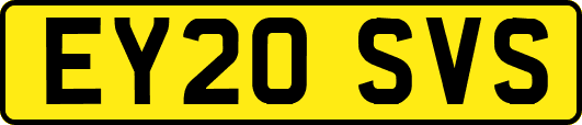 EY20SVS