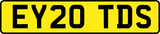 EY20TDS