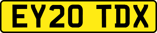 EY20TDX