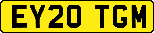 EY20TGM