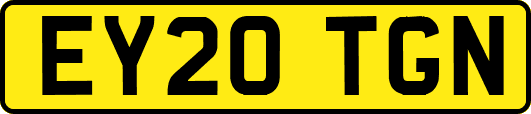 EY20TGN
