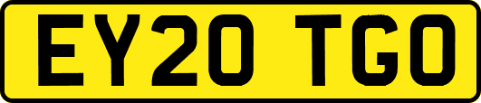 EY20TGO