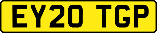 EY20TGP