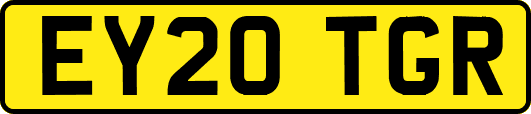 EY20TGR