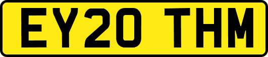 EY20THM