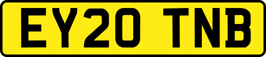 EY20TNB