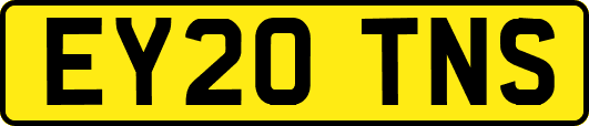EY20TNS