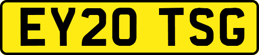 EY20TSG