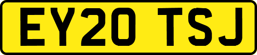 EY20TSJ