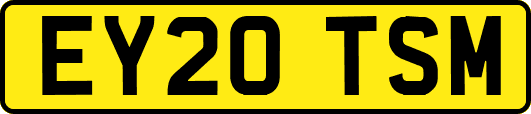 EY20TSM