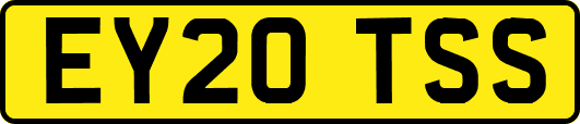 EY20TSS