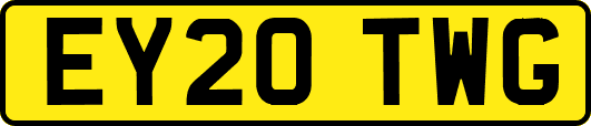 EY20TWG