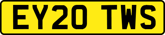 EY20TWS