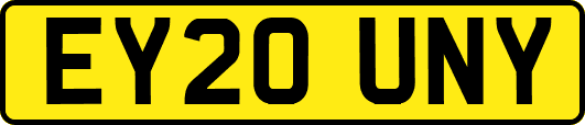 EY20UNY