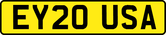 EY20USA