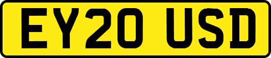 EY20USD