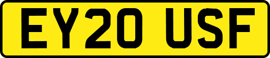 EY20USF