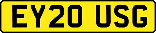 EY20USG