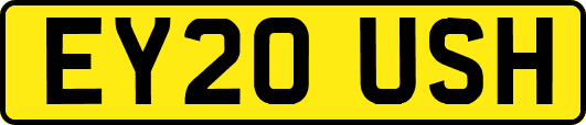 EY20USH