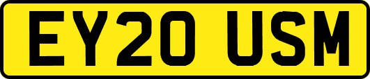 EY20USM