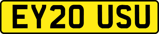 EY20USU